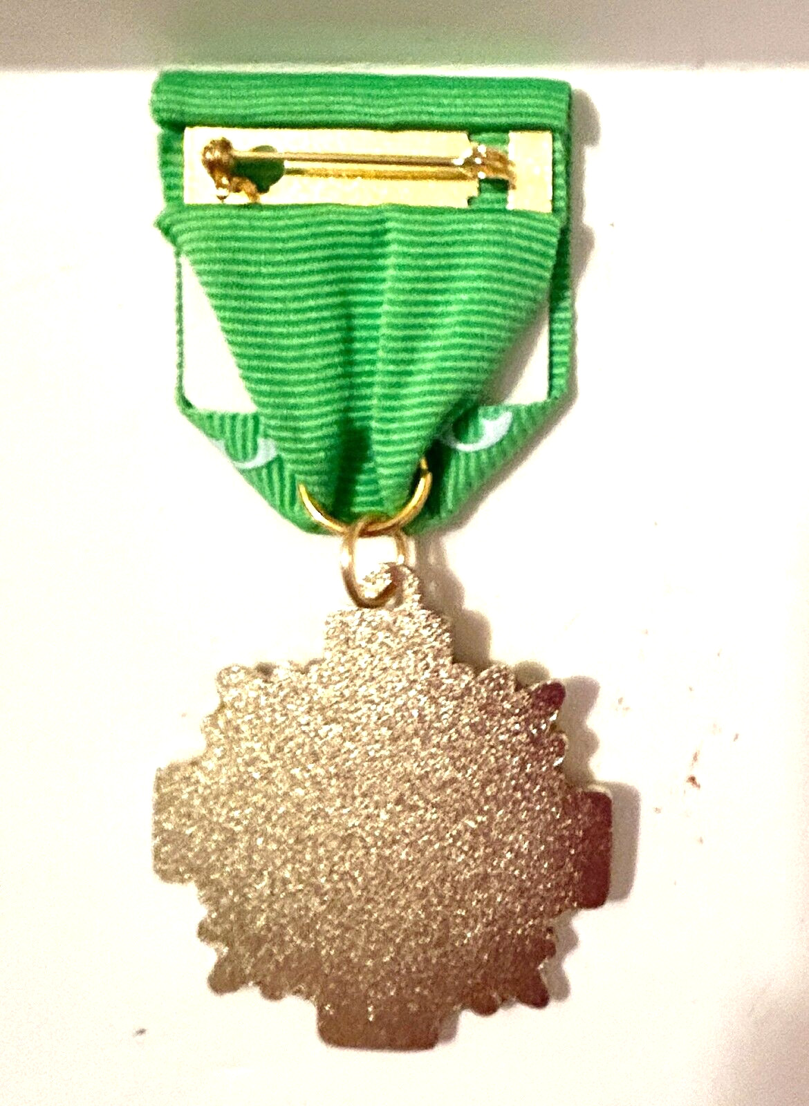 Fiesta Medal San Antonio for Aspire at Tampico Apartments 2024 NEW