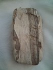 Rare Petrified Wood-Pattern — photo 4