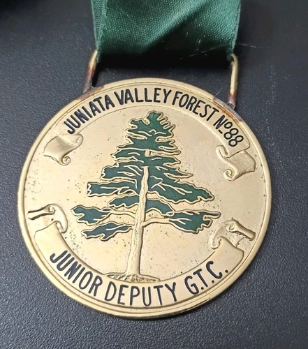 Vintage Tall Cedars Lebanon Juniata Valley Forest No. 88 GTC Medal Deputy Ribbon - Picture 17 of 18