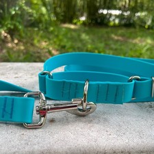 1 inch wide Waterproof Martingale Dog Collar and Leash Set - Slip On Martingale