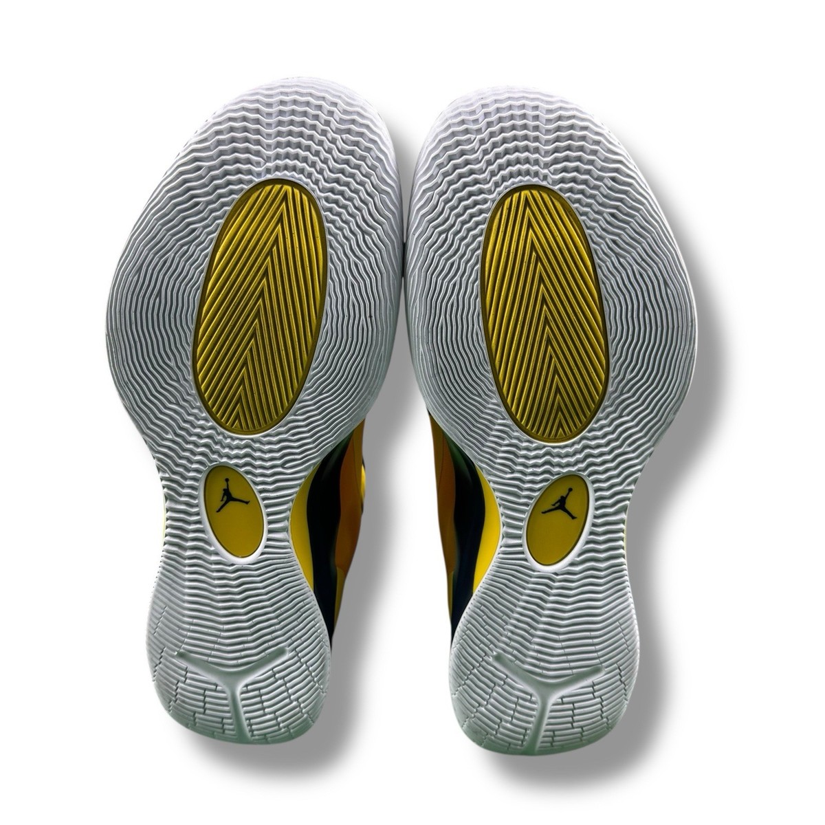 Air Jordan Zoom Separate PF Michigan Wolverines PE Player 