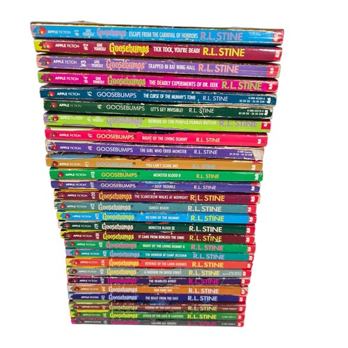 GÄNSEHAUT Buch Lot RL Stine Taschenbuch Spooky Scary Stories Gänsehaut Vintage - Bild 15 von 17