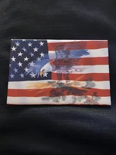 American Flag America Magnet Souvenir Refrigerator Magnet Featuring a Bald Eagle
