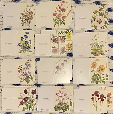 Botanische Grußkarten - Großpackung verschiedene Packung mit 50 Karten ohne Umschläge