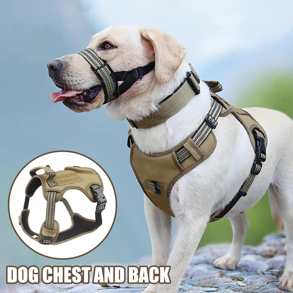 Dog Harness Soft Dog Chest Plate Harness Reusable Chest Back Assist Dog Carriers