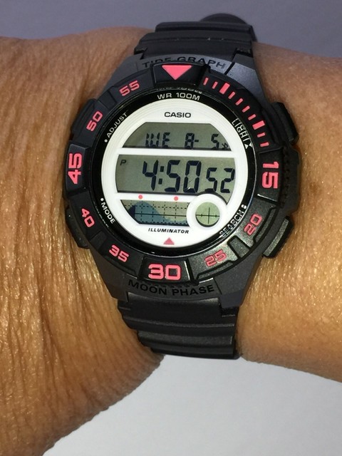 casio ws1100