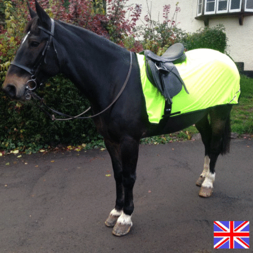 IMPERMEABILE Cavalcare Esercizio Tappeto Hi Viz o Plain pesanti o Peso Leggero IMPERMEABILE Cavalcare Esercizio Tappeto Hi Viz o Plain pesanti o Peso Leggero