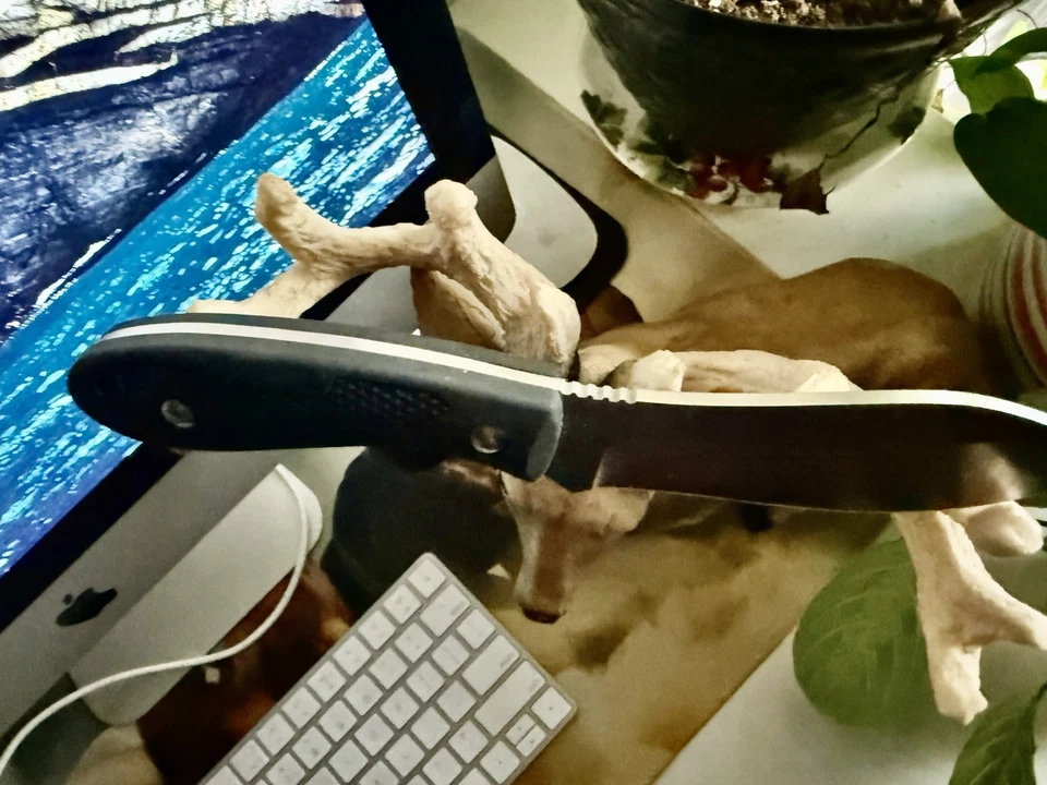 Cuchillo Western Titanium Cross Trail hoja fija punto de caída con funda de caza... Foto 2 de 4