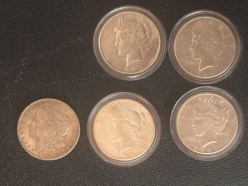 US Silver Business Strike $1 Peace & Morgan Dollar Coin Lot 1921-1928 Collection