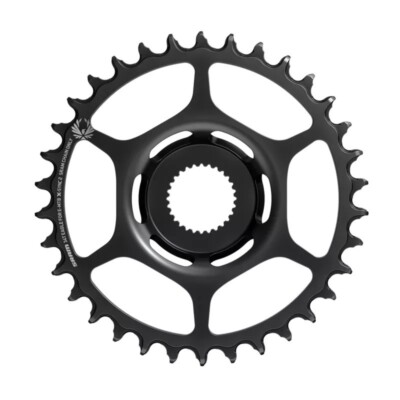SRAM Eagle X-Sync 2 34T Ebike Kettenblatt - Bosch Direct Mount - Stahl - 12-fach