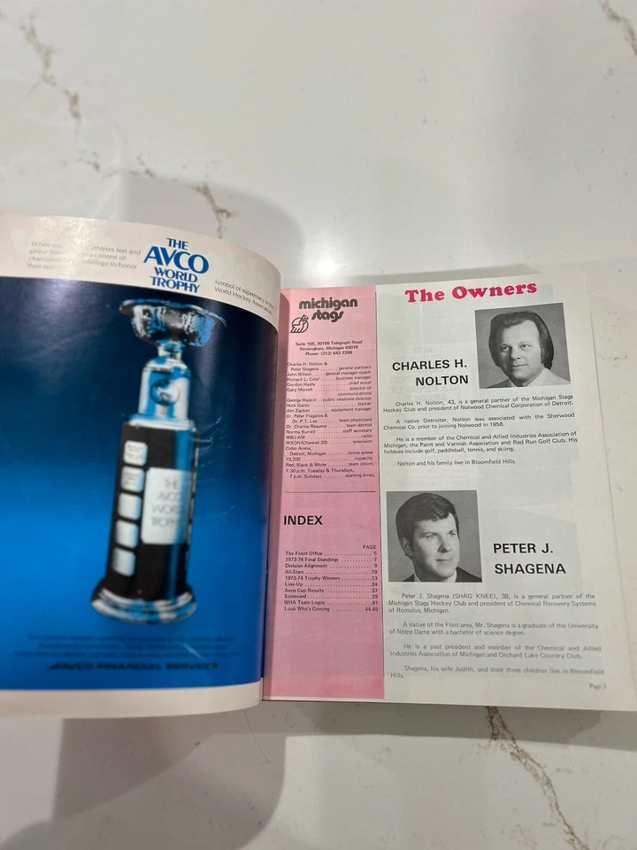 WHA MICHIGAN STAGS vs NEW ENGLAND WHALERS 11-17-74 Program TED GREEN NICK FOTIU - Image 4 of 4