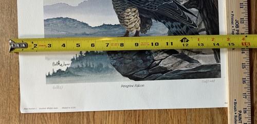 Don Balke Peregrine Falcon 16"" X 18"" Stampa Limitata Ed. #528/1200 FIRMATO + Bonus - Foto 3 di 6