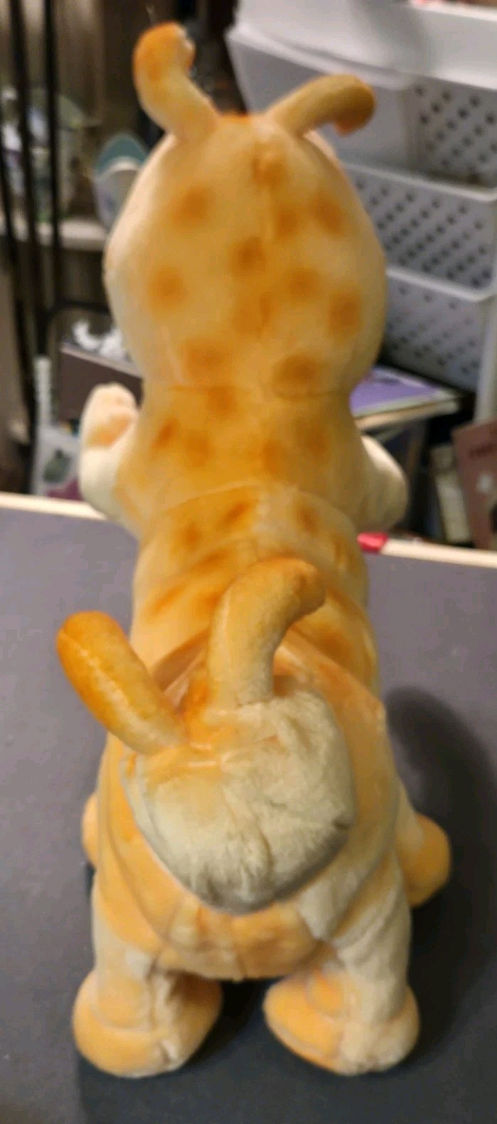 Picture 5 of 15
