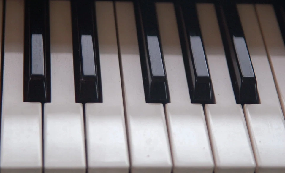 Roland E14 15 16 28 35 36 38 40 48 50 66 68 330 keyboard replacement key