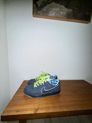 Nike SB Blue Lobster RARE size 10!! (Used)