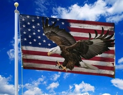 Fahne Flagge American Eagle USA 150x90 Cm