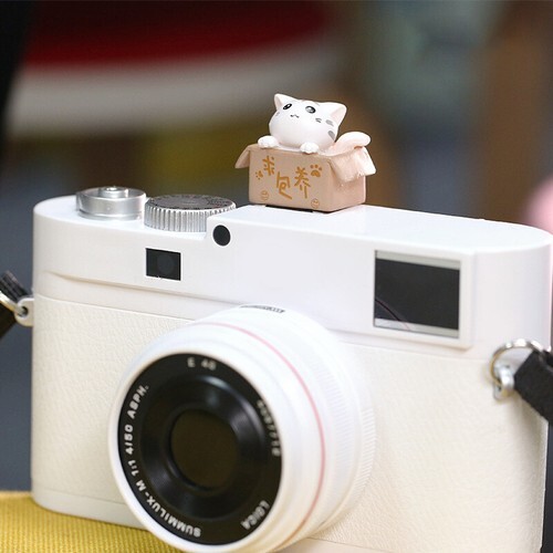Cartoon Cat Hot Shoe Protection Cover SLR Camera Hot Shoe Cap Dustproof - Bild 9 von 12