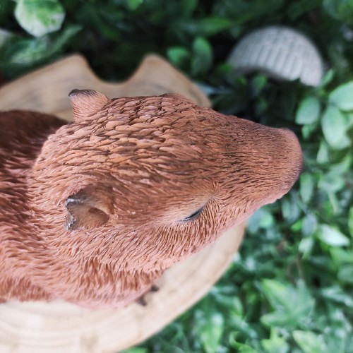 Vivid Arts - Capybara Animal Ornament - Afbeelding 8 van 9