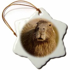 3dRose Brazil, Capybara wildlife in the jungle - SA04 JMC0034 - Joe and Mary Ann