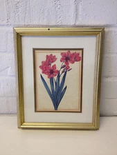 Galison Books Museum Prints Botanical Streptanthera Cuprea Harlequin Flower