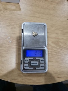 Gold Nugget