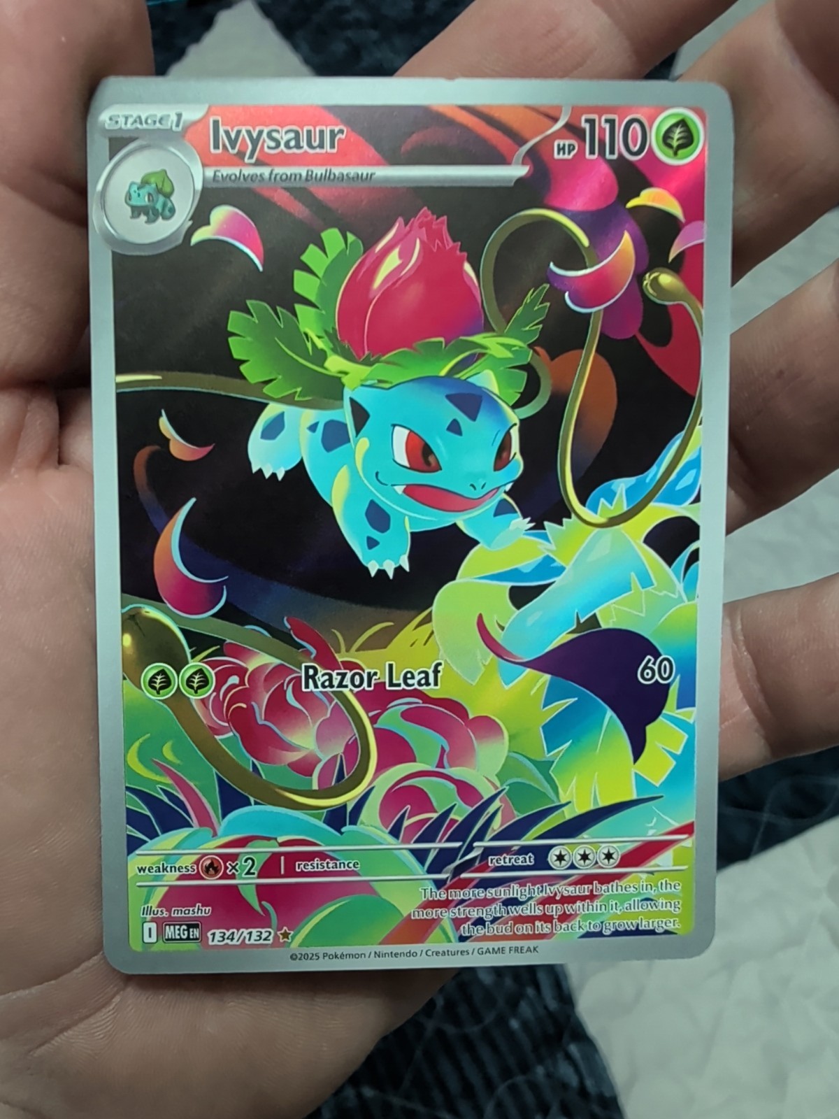 Ivysaur 134/132 Me01: Mega Evolution Holo