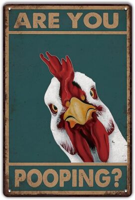 ART Are You Pooping Chicken Sign - Funny Bathroom Signs, Vintage Metal Toil
