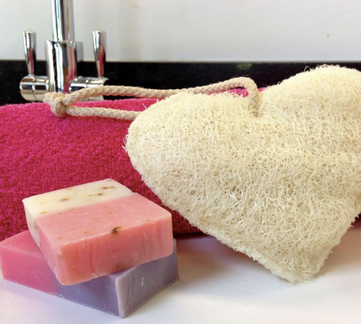 Bath Time Loofah Sponge Loofco Naturally Exfoliating Sponge (Pack