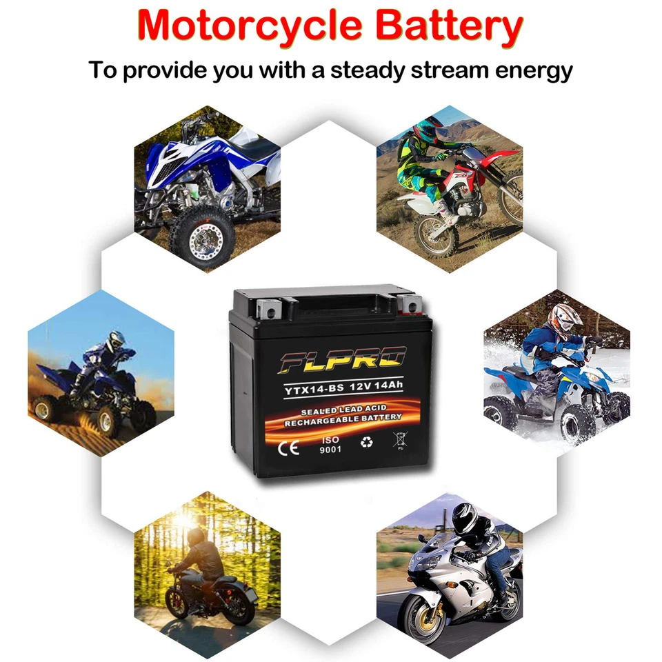 Sealed AGM YTX14 BS Battery for Honda VT1100C2 Shadow Sabre/T Shadow/VT1100C Foto 4 de 4