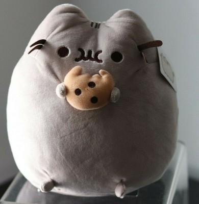 cookie pusheen