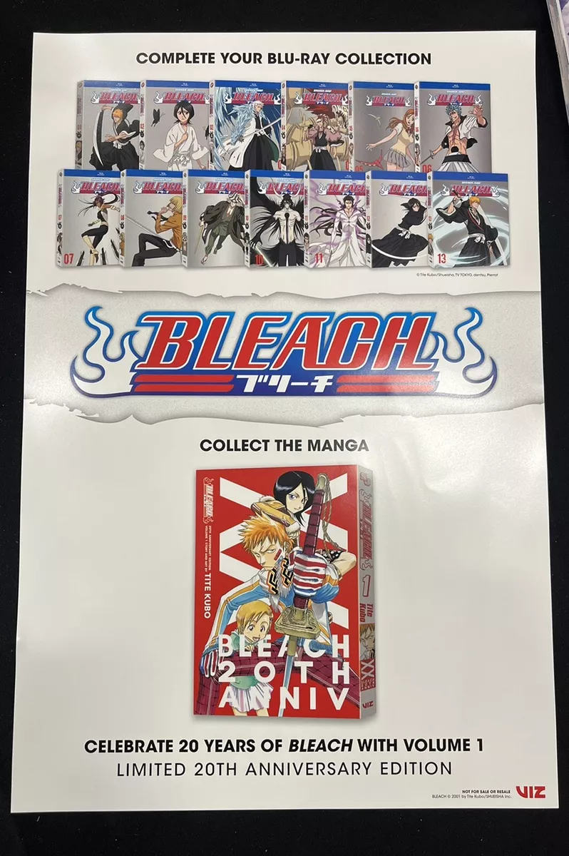 Anime Expo 2022/SDCC 2022 Bleach Thousand-Year Blood War Exclusive Poster