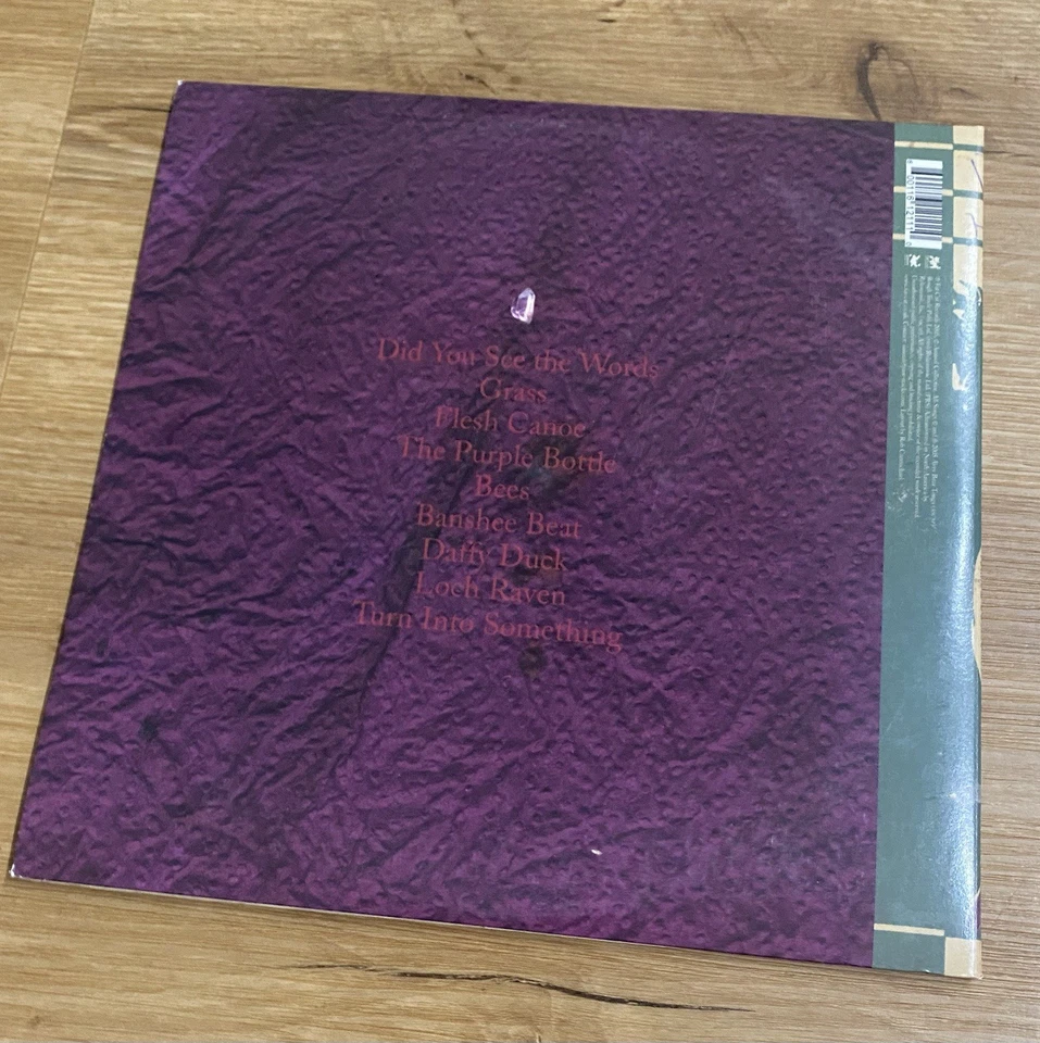 RARE Alternative Indie Rock LP Record ANIMAL COLLECTIVE Feels FAT CAT 2005 NM* - Image 3 of 4