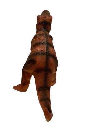 Tryannosaurus Rex Dinosaur 7