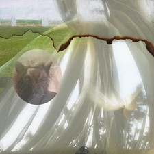 Credit Electric Six CD DE045CD NEW