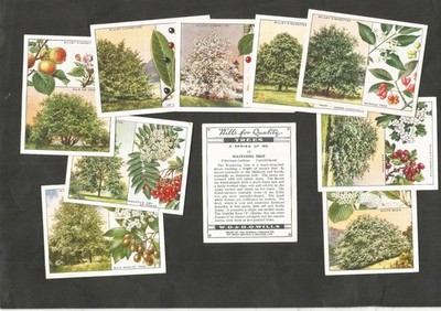 Wills Trees L40 1937 Pick your card