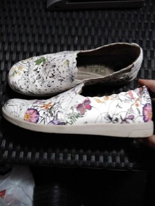 earth origins celeste