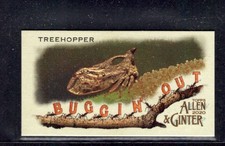 2019 Topps Allen & Ginter Mini Buggin' Out Mini Treehoper #MBO-20