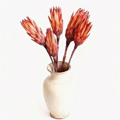 4 Stems Natural Dried Protea Repens - Real Dried Flowers for Home Decor, Flow...