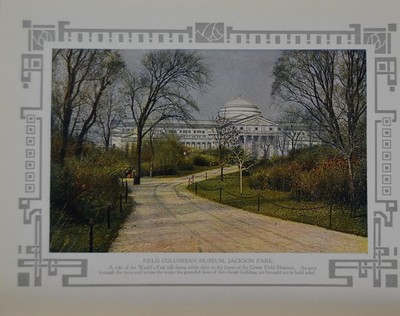 Antique Chicago Illinois Color Art Print Field Museum Jackson Park 1908