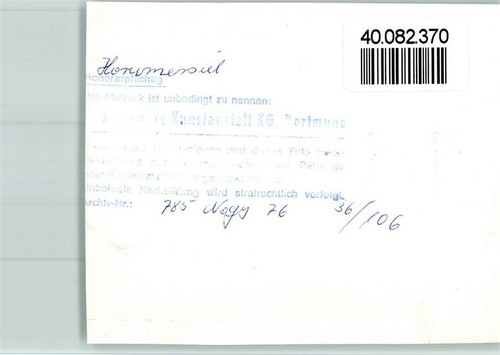 40082370 - 2942 Horumersiel escursione in pony - Foto 2 di 2