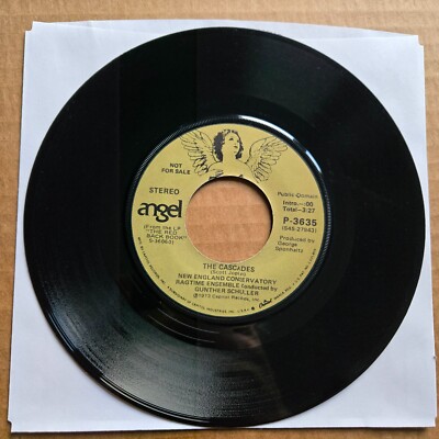 The New England Conservatory Ragtime Ensemble   Maple Leaf Rag 45 7'' Vinyl