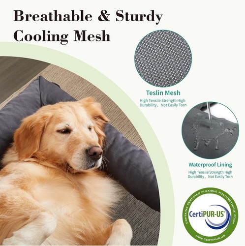 XL Heavy-Duty Elevated Dog Bed with Washable Cushions - Perfect for All Breeds - Picture 5 of 8