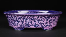 Bonsai Pot Kiyomizu-ware Heian Senzan  Purple Glazed 7.1"(18cm) Oval K053