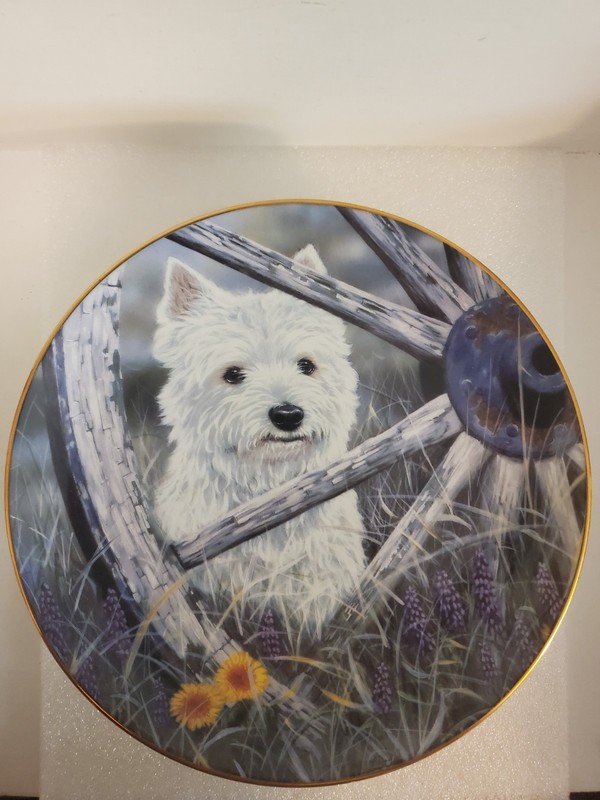 Danbury Mint West Highland Terriers Wild Wild Westie Limited Edition Plate 