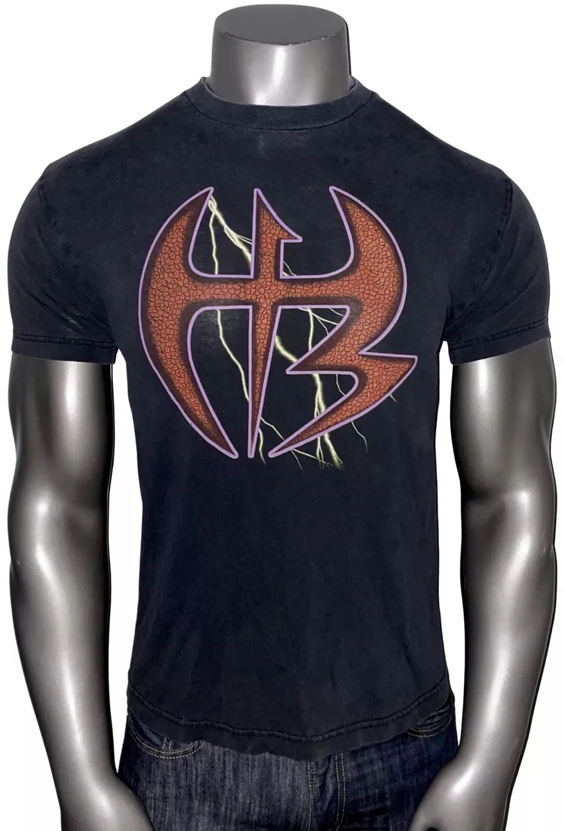 the hardy boyz shirt
