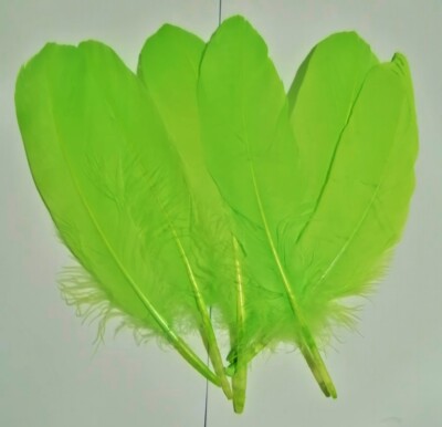 6er PACK GANSSCHULTERFEDERN - HANDWERK, MILLINERY, FLIEGENBINDEN USW. - FARBEN