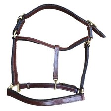 New 1 wide leather Horse Halter with Brass hardware