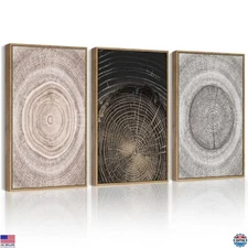 Vintage Wood Tree Rings Wall Art Rustic Framed Canvas 11x14in Home Decor