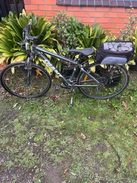 GIANT Roam Adult Bikes + GIANT Girls Bike - image 3 of 4