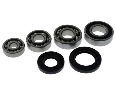 Getriebelager Set inklusive Wellendichtringe für AGM Motors Fighter 50 CPI Euro2